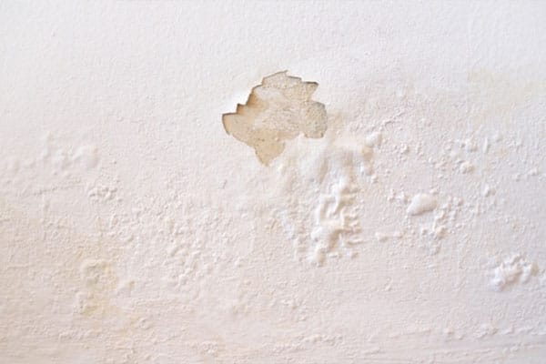 What Every Homeowner Needs to Know About Humidity